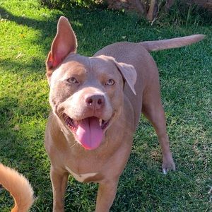 Meet your Posher, Nancy